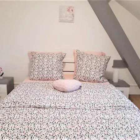 Myhome Basel 3a44 Apartmán Saint-Louis (Haut-Rhin)