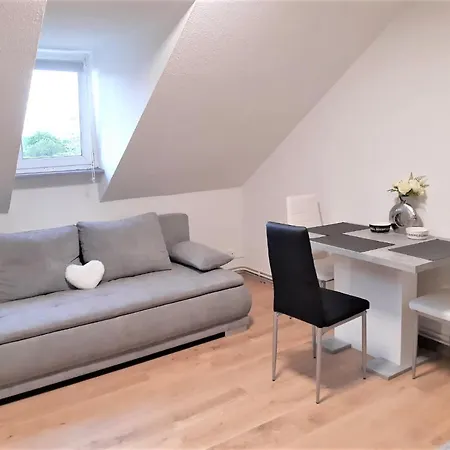 Myhome Basel 3a44 Apartmán
